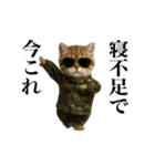 踊る！今これ軍人にゃんこ（個別スタンプ：6）