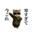 踊る！今これ軍人にゃんこ（個別スタンプ：8）
