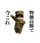 踊る！今これ軍人にゃんこ（個別スタンプ：10）