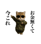 踊る！今これ軍人にゃんこ（個別スタンプ：11）