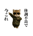 踊る！今これ軍人にゃんこ（個別スタンプ：15）