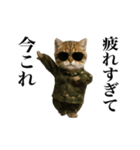 踊る！今これ軍人にゃんこ（個別スタンプ：16）