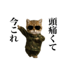 踊る！今これ軍人にゃんこ（個別スタンプ：17）