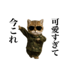 踊る！今これ軍人にゃんこ（個別スタンプ：18）