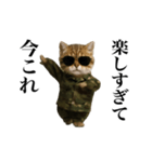 踊る！今これ軍人にゃんこ（個別スタンプ：20）