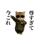 踊る！今これ軍人にゃんこ（個別スタンプ：21）