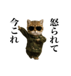 踊る！今これ軍人にゃんこ（個別スタンプ：22）