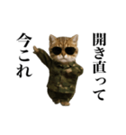 踊る！今これ軍人にゃんこ（個別スタンプ：23）