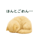 長毛白猫ぬいぐるみのゆる言い訳スタンプ（個別スタンプ：1）