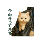 長毛白猫ぬいぐるみのゆる言い訳スタンプ（個別スタンプ：3）