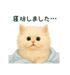 長毛白猫ぬいぐるみのゆる言い訳スタンプ（個別スタンプ：5）