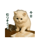 長毛白猫ぬいぐるみのゆる言い訳スタンプ（個別スタンプ：12）