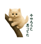 長毛白猫ぬいぐるみのゆる言い訳スタンプ（個別スタンプ：15）