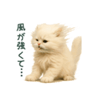 長毛白猫ぬいぐるみのゆる言い訳スタンプ（個別スタンプ：21）