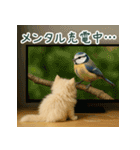 長毛白猫ぬいぐるみのゆる言い訳スタンプ（個別スタンプ：24）