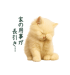 長毛白猫ぬいぐるみのゆる言い訳スタンプ（個別スタンプ：25）