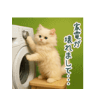 長毛白猫ぬいぐるみのゆる言い訳スタンプ（個別スタンプ：27）