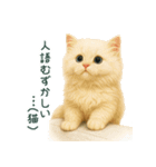 長毛白猫ぬいぐるみのゆる言い訳スタンプ（個別スタンプ：30）