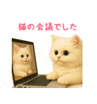 長毛白猫ぬいぐるみのゆる言い訳スタンプ（個別スタンプ：32）