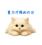 長毛白猫ぬいぐるみのゆる言い訳スタンプ（個別スタンプ：35）