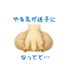 長毛白猫ぬいぐるみのゆる言い訳スタンプ（個別スタンプ：37）