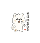 いたずらやのイタズラ子犬（個別スタンプ：4）