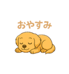 "チャイ"のハッピー・スタンプ2（個別スタンプ：2）