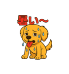 "チャイ"のハッピー・スタンプ2（個別スタンプ：14）