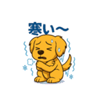 "チャイ"のハッピー・スタンプ2（個別スタンプ：15）
