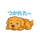 "チャイ"のハッピー・スタンプ2（個別スタンプ：18）