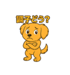 "チャイ"のハッピー・スタンプ2（個別スタンプ：22）