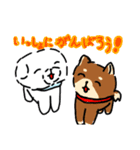 マルチーズのユキちゃんとなかまたち（個別スタンプ：5）