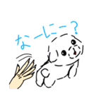 マルチーズのユキちゃんとなかまたち（個別スタンプ：22）
