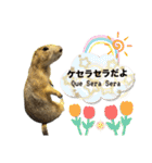プレーリードッグのピスケ（個別スタンプ：22）