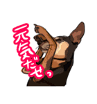 大きな一之助（個別スタンプ：1）