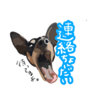 大きな一之助（個別スタンプ：6）