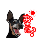 大きな一之助（個別スタンプ：8）