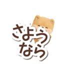 ちびポメラニアン【3D】でか文字（個別スタンプ：30）