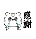 ねこ依存挨拶ポジティブ（個別スタンプ：29）