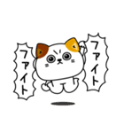 ねこ依存挨拶ポジティブ（個別スタンプ：31）