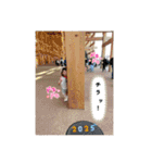※毎日スタンプ※（個別スタンプ：13）