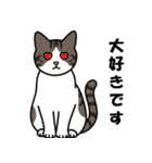 かわいいキジトラのスタンプ(猫)（個別スタンプ：4）