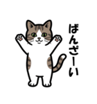 かわいいキジトラのスタンプ(猫)（個別スタンプ：7）