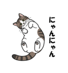 かわいいキジトラのスタンプ(猫)（個別スタンプ：8）