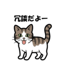かわいいキジトラのスタンプ(猫)（個別スタンプ：13）
