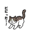かわいいキジトラのスタンプ(猫)（個別スタンプ：17）