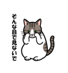 かわいいキジトラのスタンプ(猫)（個別スタンプ：19）