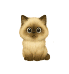 言葉のない猫たち55（個別スタンプ：11）