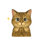 言葉のない猫たち55（個別スタンプ：12）