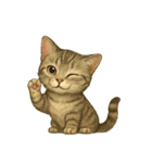 言葉のない猫たち55（個別スタンプ：31）